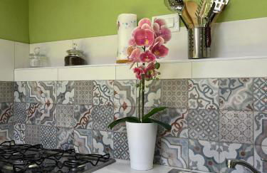 Casa Piredda Icore IUN R7749 - Foto 40