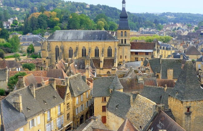 La Salamandre - Foto 19