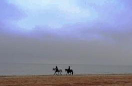 Haus Nemo - Appartement 5, Gemütliches Appartement - Strandkorb, strandnah 50 m - Foto 12