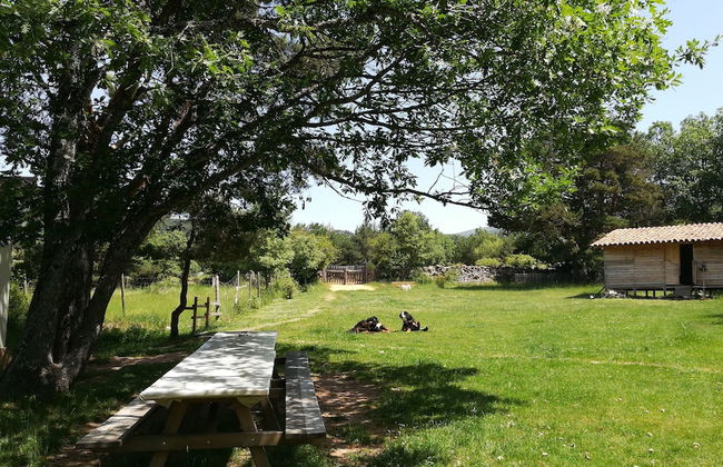 Eco Urbión - Foto 32