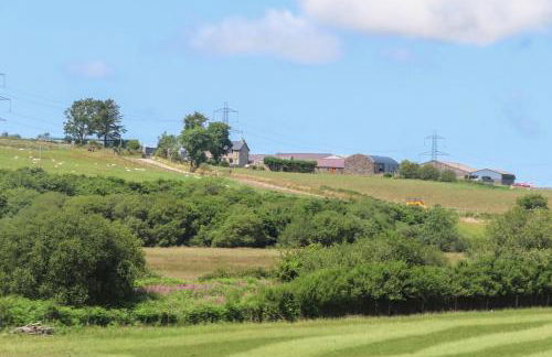 Bwthyn Derwin Fawr - Photo 35