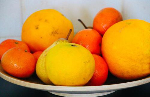 Casa Vista Pájaro - Photo 46