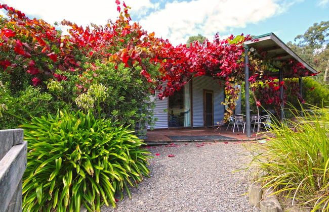 Valley Farm Vineyard Cottages - Foto 2