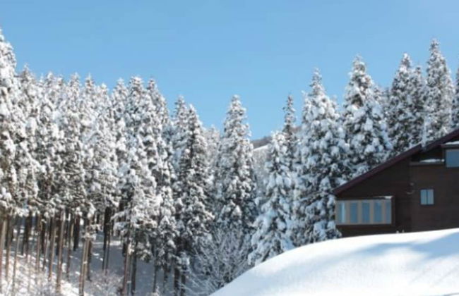 Nozawa House - Photo 17