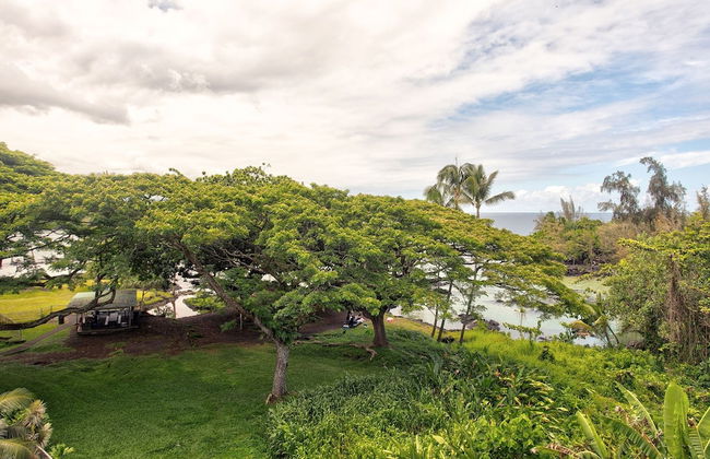 Mauna Loa Shores #405 1 Bedroom Condo by RedAwning - Photo 22