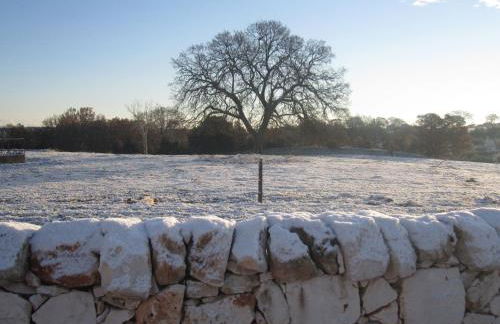 Agriturismo Laire Masseria - Foto 19