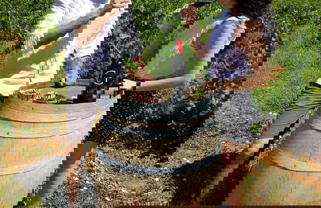 Tour in Láujar de Andarax - Foto 9