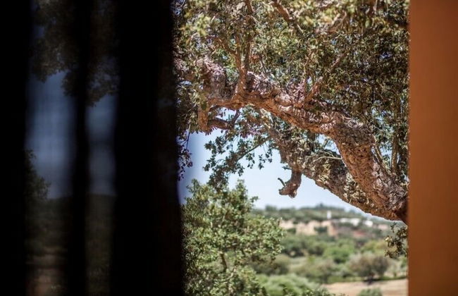 Monte da Esperança - Photo 17