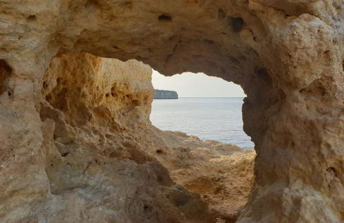 ML Central Vila Apartment - Foto 24