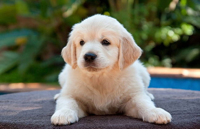 Apartment in Cuzy With Heated Pool - Photo 20