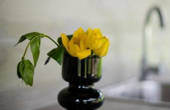 Casa Montagna - Foto 32