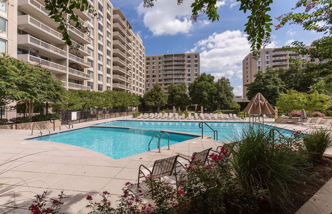 Fantastic Condo with Gym in Crystal City - Foto 35