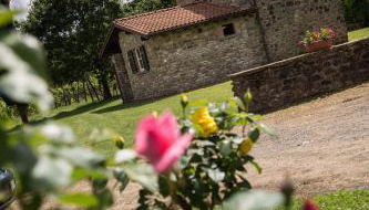 Coriana Apartments & Villas - Foto 4