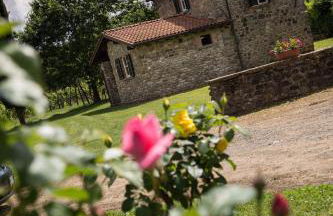 Coriana Apartments & Villas - Foto 4