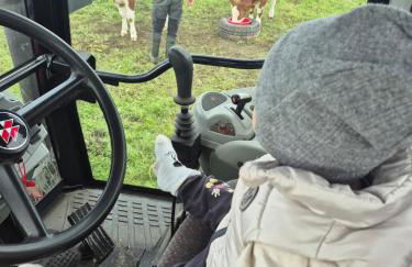 Ferienhaus Schilz II - Urlaub auf dem Bauernhof - Foto 33