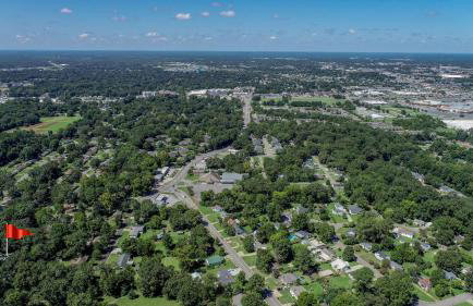 Firefly Garden - Foto 51