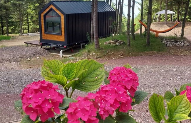 Tumba Sisli Vadi - Foto 51