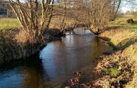 AgroKorytnica - Foto 13