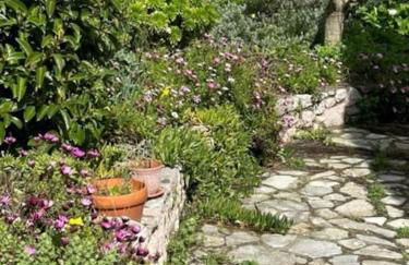 Haus mit Pool im Olivenhain - Foto 22