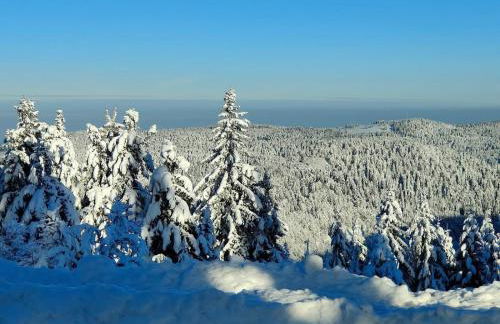 Gîte Le Hangar 67 à Saulxures-sur-Moselotte - Location atypique proche lac - Foto 25