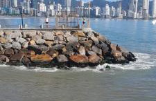 Apartamento de 35 m2 em Itapema - Foto 9