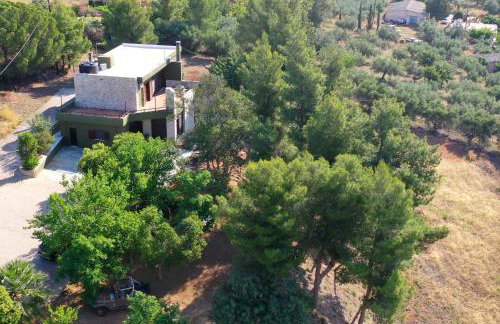 Villa Khaki - Foto 68