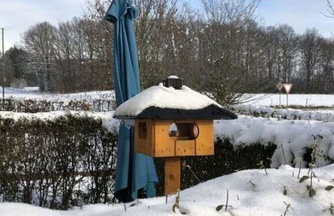 Holiday Home Am Beulskopf - Foto 25