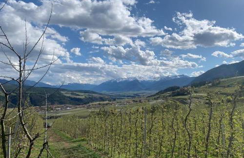 Agritur Maso Forcola - Photo 17