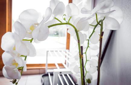 Naturstammhaus und Appartements Zum Brockenbaecker - Foto 68