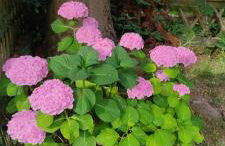 Küstenliebe - Foto 19