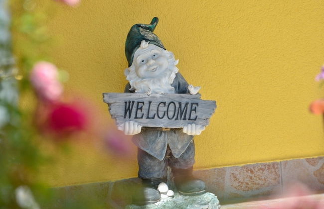 Iva - Great Garden - H - Photo 21