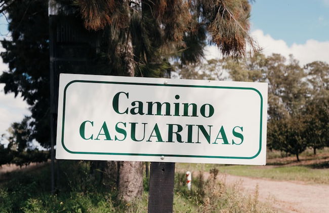 La Santina Posada & Experiencia de Campo - Photo 43