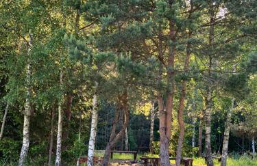 Święty Spokój Łąka i Woda - Foto 79