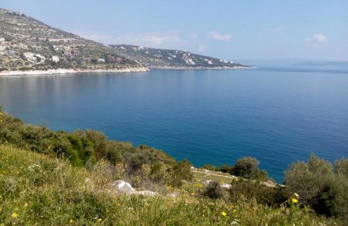 Belle Hélène - Foto 53