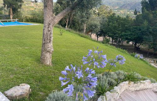 Casa da nascente douro - Foto 34