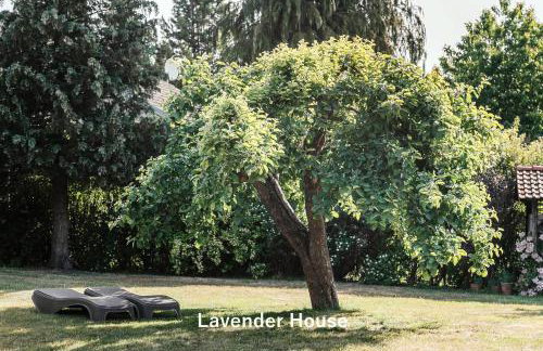Lavender House - Foto 22