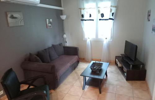 Les Papillons - Photo 10