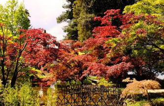 Akasa on Lake Como - Foto 11