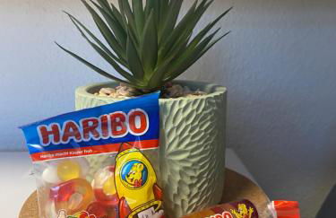 Lespinet BNB - Duplex avec parking - Foto 15