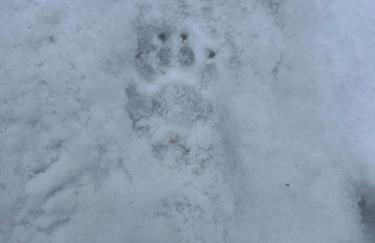 Seelenglück - Foto 40