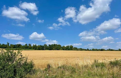 Idillic Barn - Hot Tub - Orchardleigh Frome - Foto 7