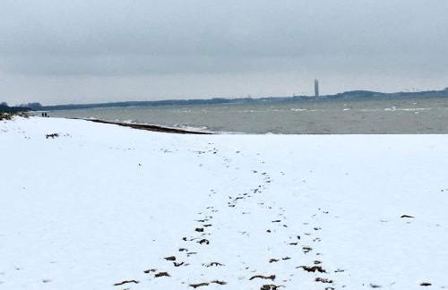 Die Ostseeperle mit Pool - Photo 32