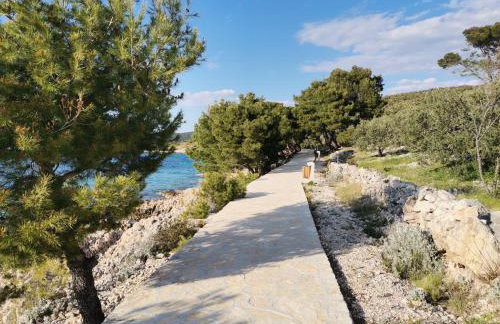 Penthouse Ema - Photo 49