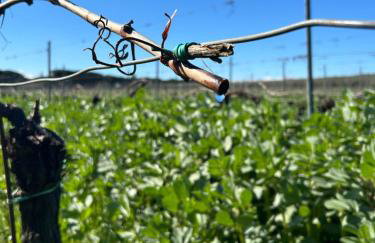 Villa Cavalletti - Foto 143