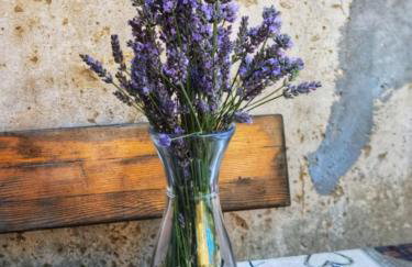 Casa natura - Olib, gem of islands - Photo 42