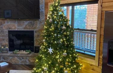 Dollywood Retreat Heated Pool Close to Parkway - Foto 60