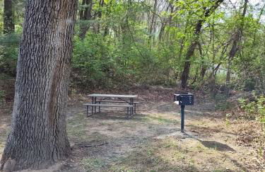 Julies Place on Rt 66 - Minutes to FLW - Foto 11