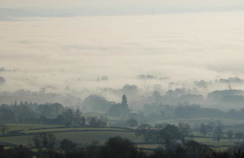 The Little Beehive - Photo 36