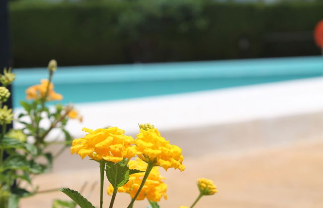 Rootop Villa - Chalet en Cabo Pino con vistas al mar, jardines y piscina - Foto 19