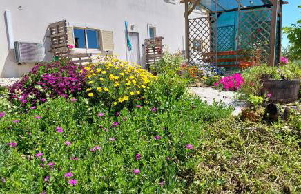 Quinta De Oliveiras - Foto 36